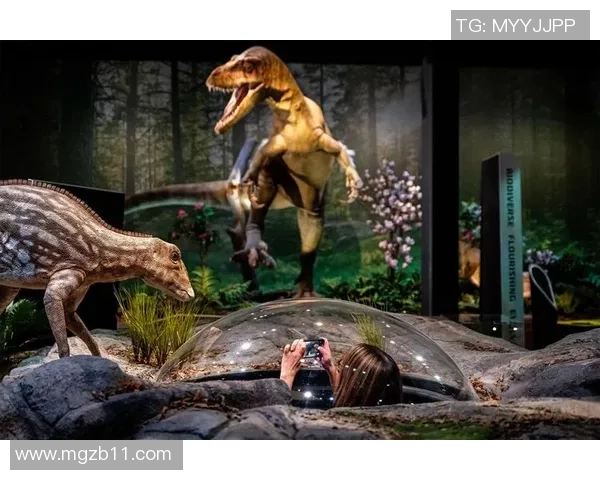 足球哈尼：探索足球与文化交融的奇妙旅程与故事